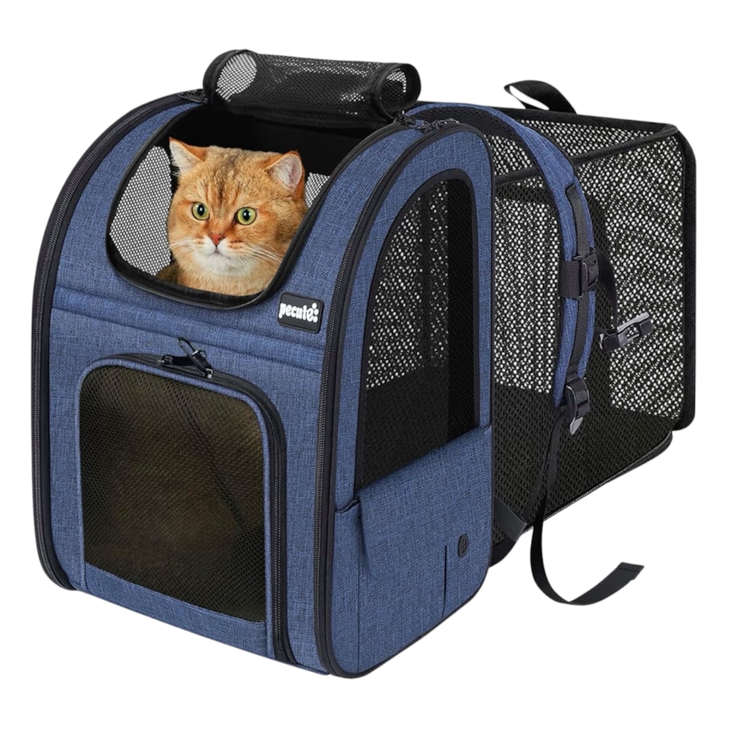 Mochila para mascotas, extensible con malla transpirable para perros pequeños, gatos