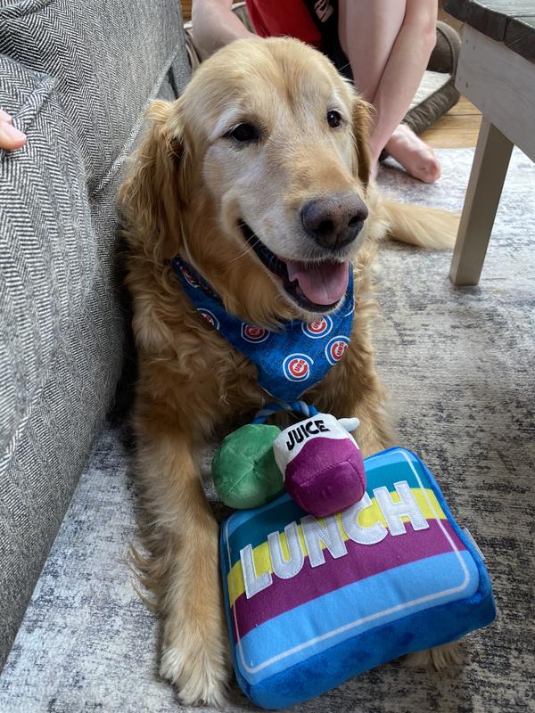 Back to school lunch box toy