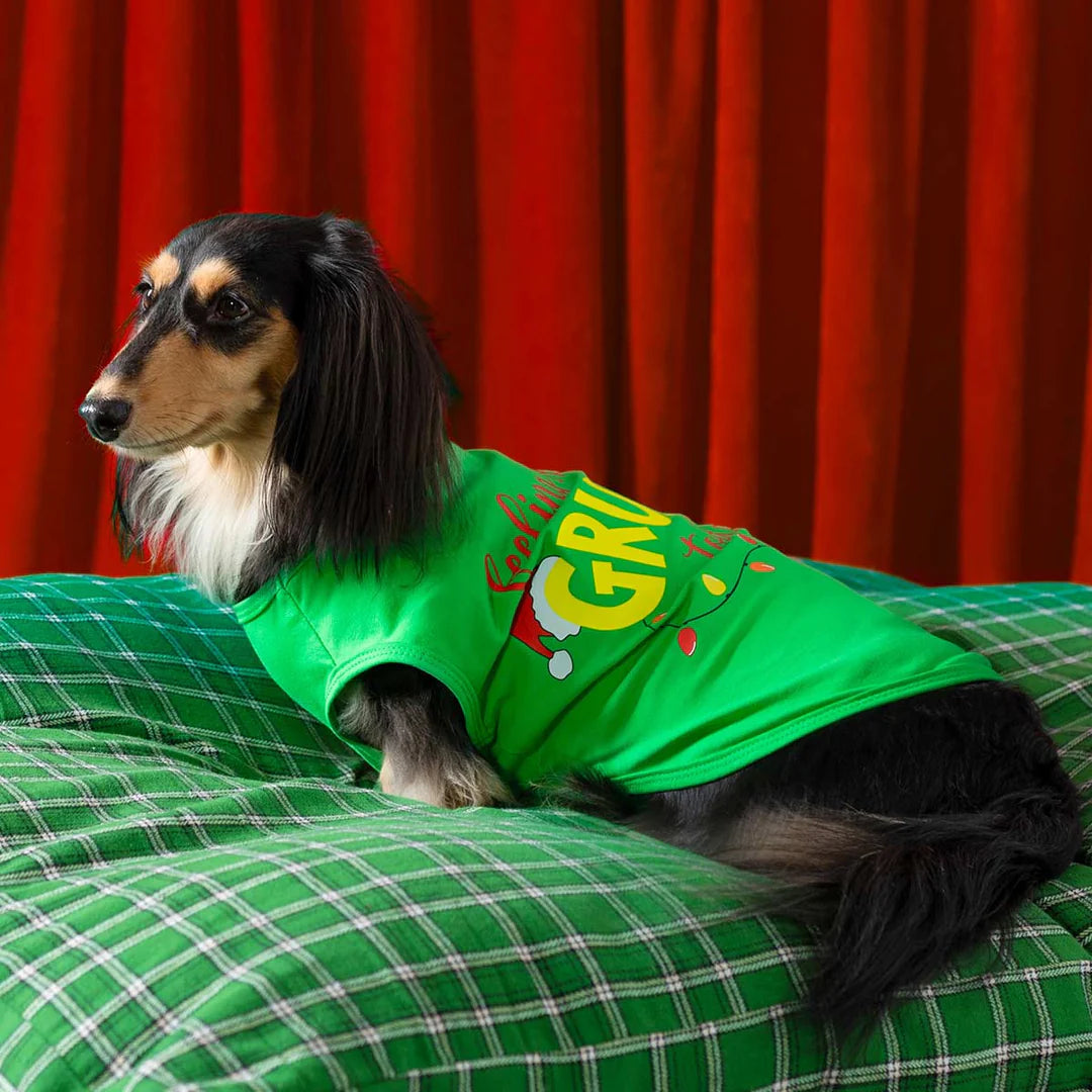 FEELING EXTRA GRUMPY TODAY DOG SHIRT