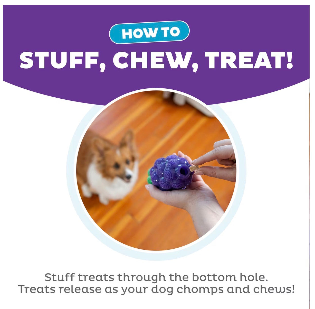 Outward Hound Dental Grapes 2-in-1 Interactive Dog Chew & Treat Dispensing Toy, Medium