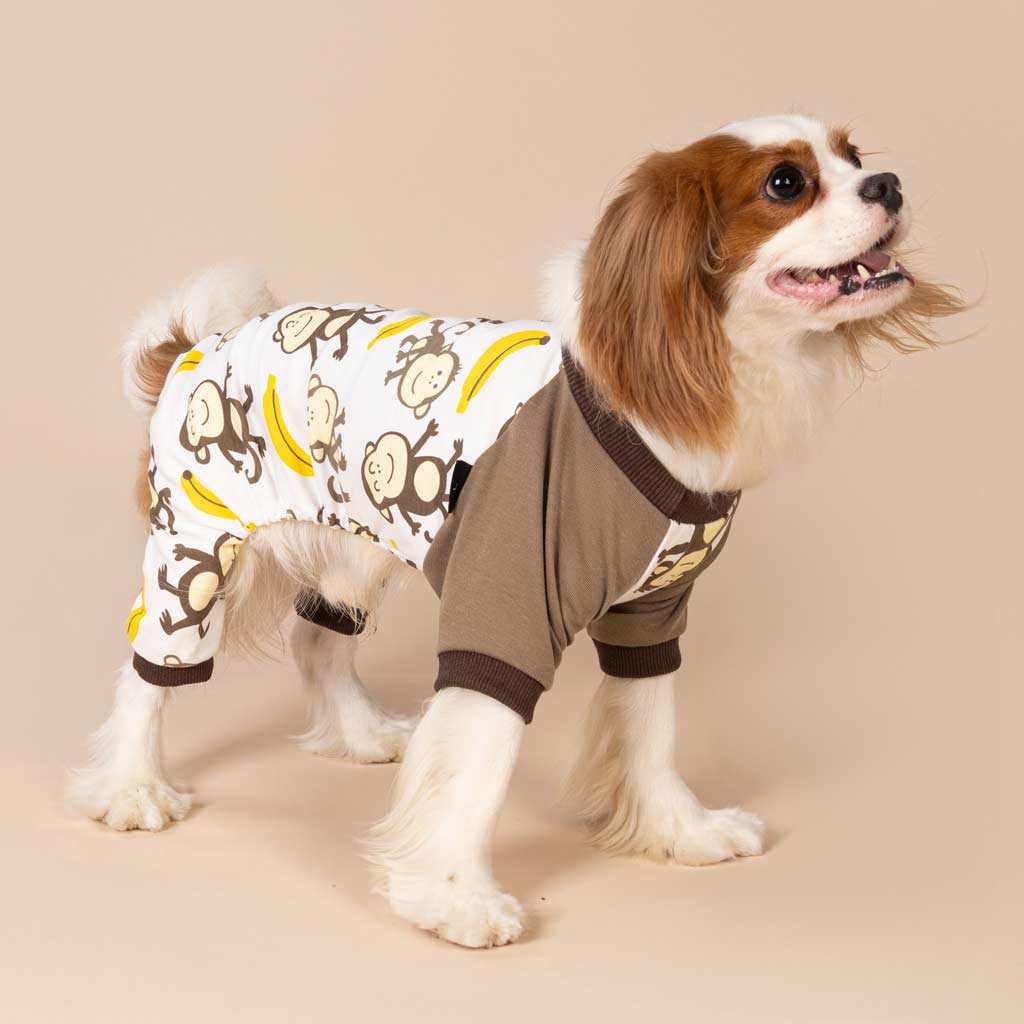 MONKEY DOG PAJAMAS