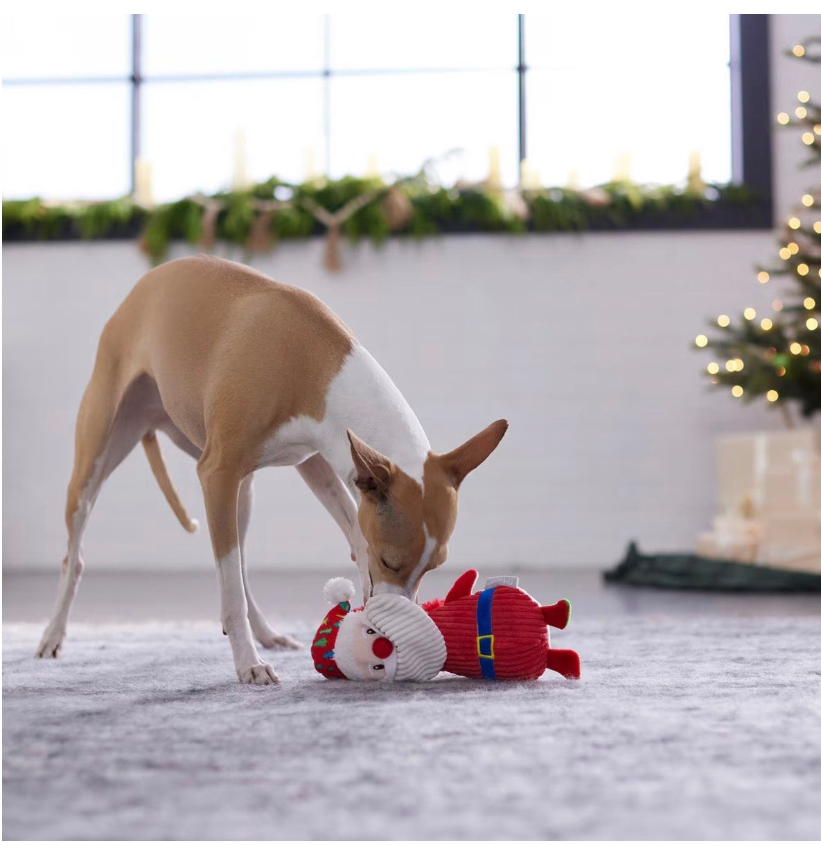 Holiday Santa & Snowman Reversible Plush Squeaky Dog Toy, Small/Medium
