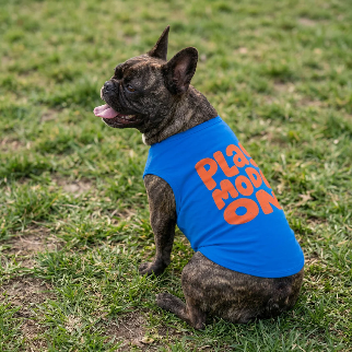 PLAY MODE ON DOG SHIRT