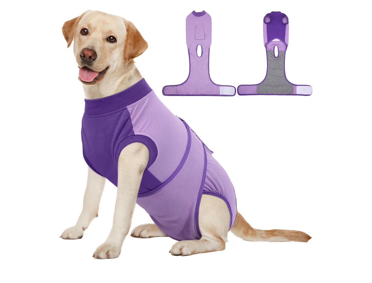 Traje de recuperación para perros después de la cirugía