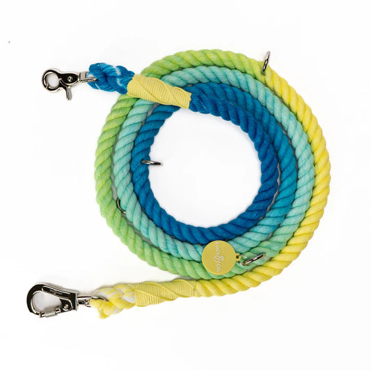 Lucy and co- Hands-Free Rope Leash