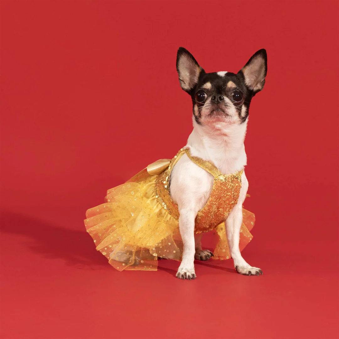 SPARKLY SEQUIN DOG TUTU DRESS, Dorado