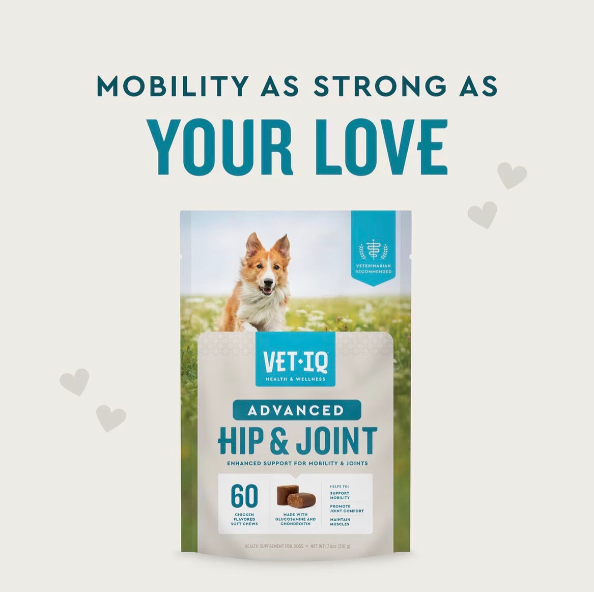 VetIQ Advanced Hip & Joint Chicken Flavored Soft Chews Dog Supplement, 60 masticables