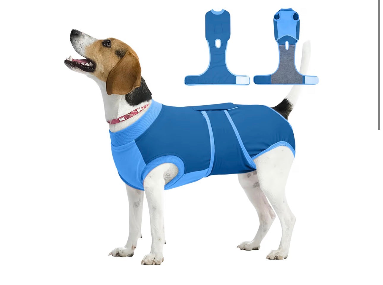 Traje de recuperación para perros