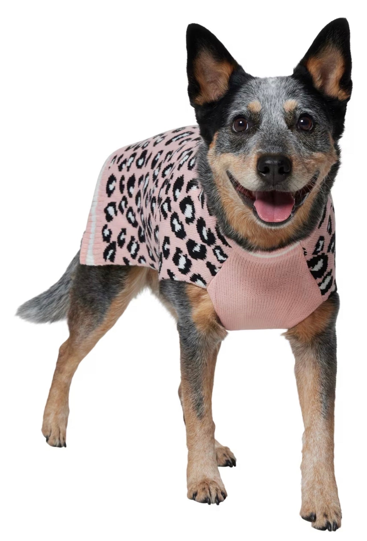 Leopard Print Dog sweater