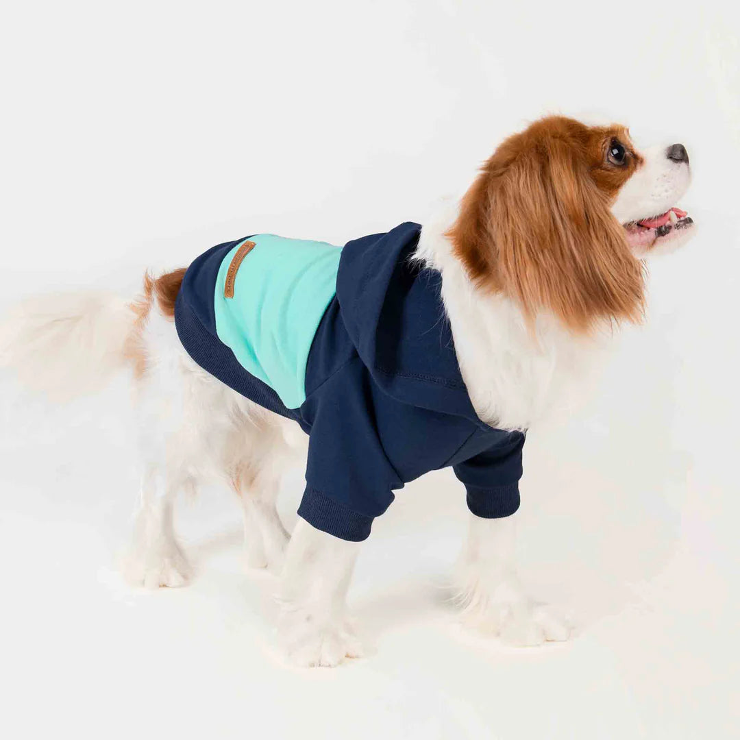 COLOR BLOCK DOG HOODIE