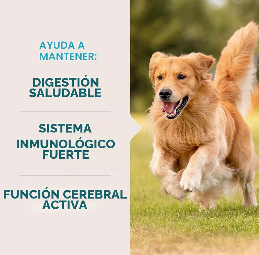 VetIQ Multivitamínico para perros, 60 unidades