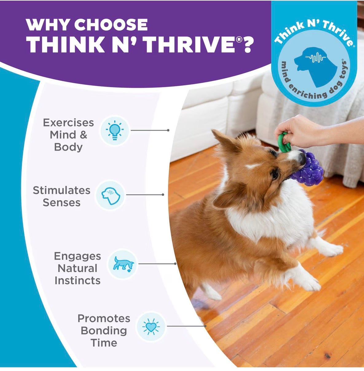 Outward Hound Dental Grapes 2-in-1 Interactive Dog Chew & Treat Dispensing Toy, Medium