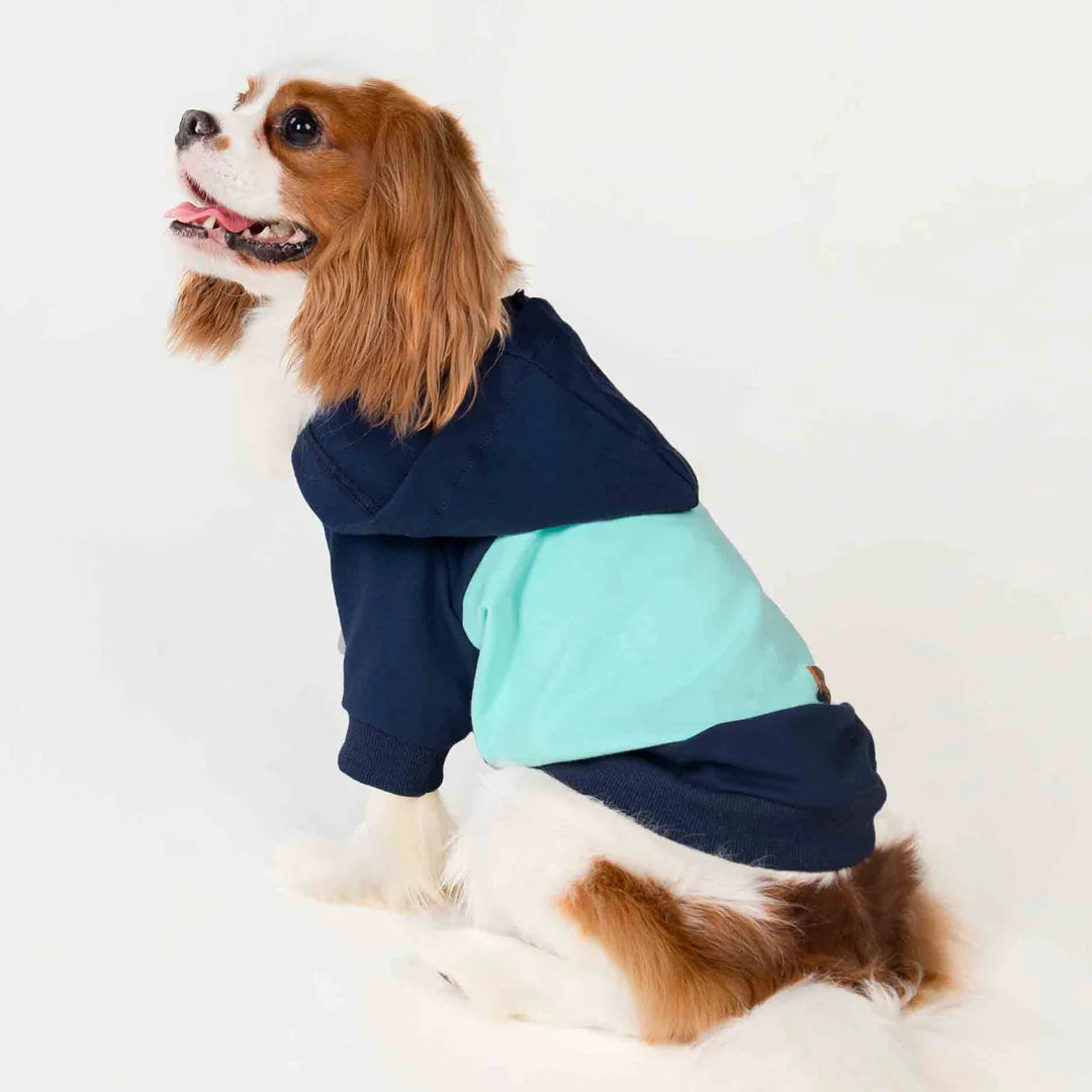COLOR BLOCK DOG HOODIE