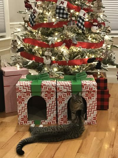 Holiday Gift Box Cardboard Cat House