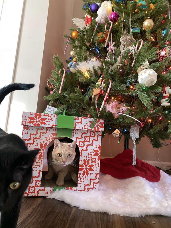 Holiday Gift Box Cardboard Cat House