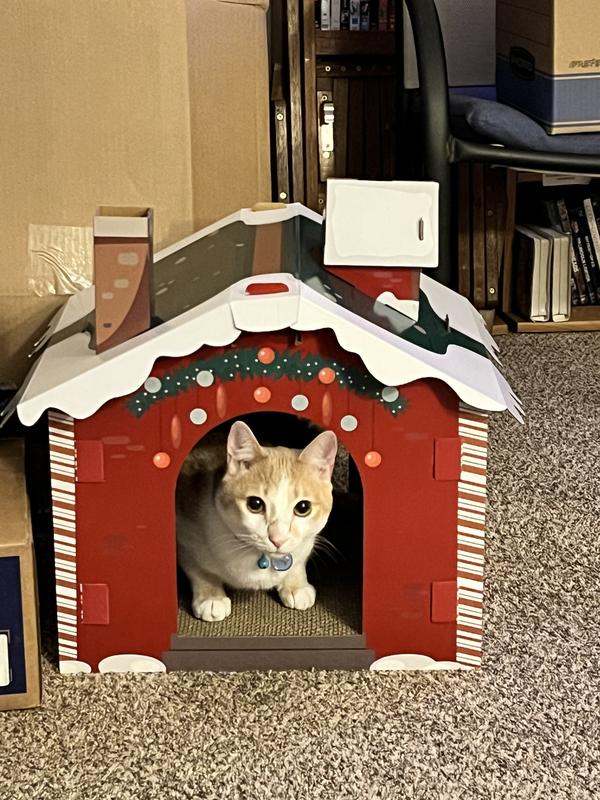 Holiday Santa's Workshop Cardboard Cat House