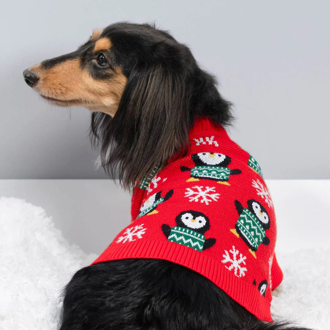 PENGUIN SNOWFLAKE DOG SWEATER