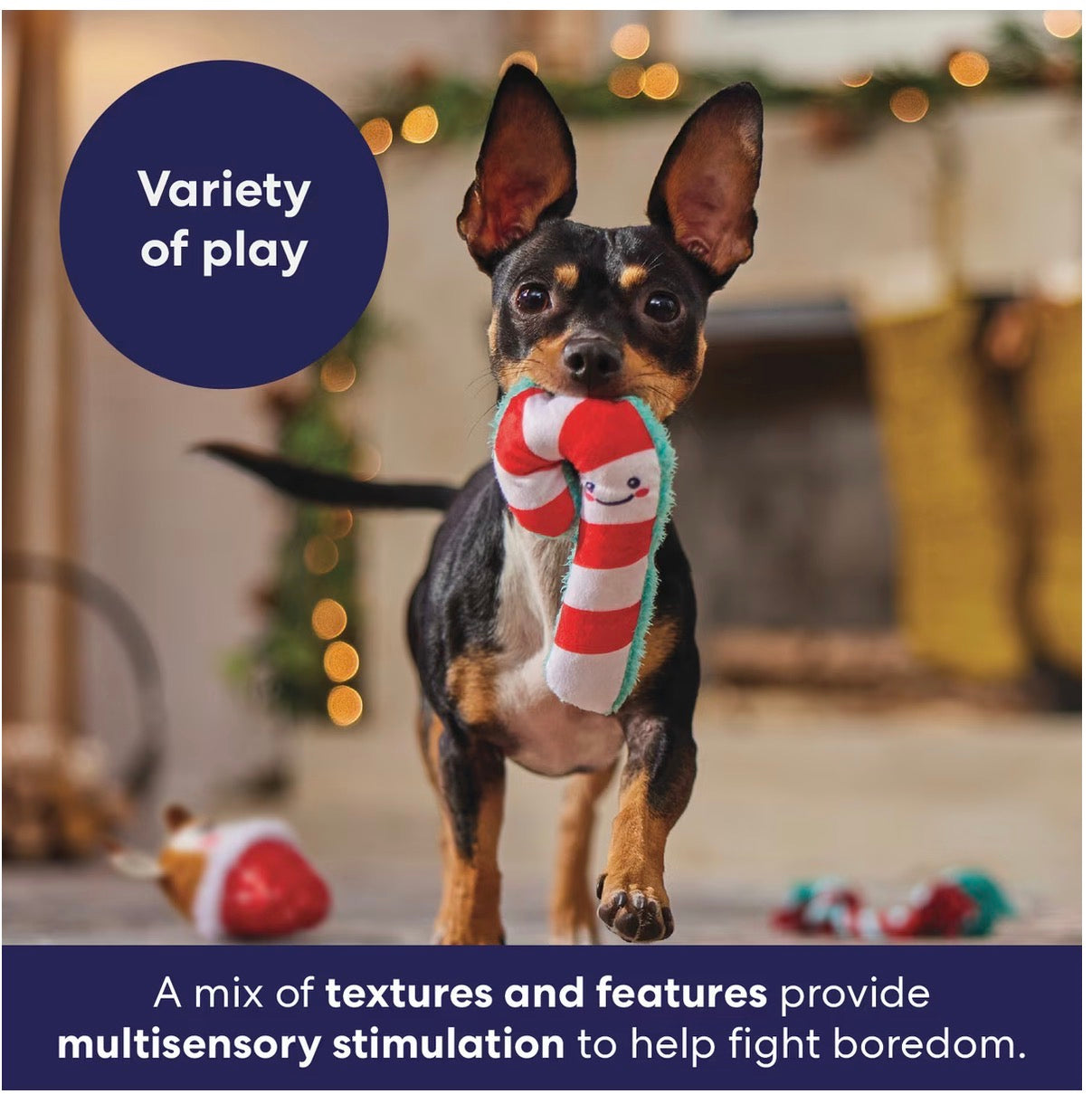 Holiday Reindeer & Candy Cane Plush & Rope Variety Pack Dog Toy, Small