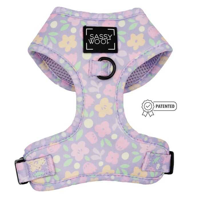 Sassy woof - pechera y correa Fleur de Sass