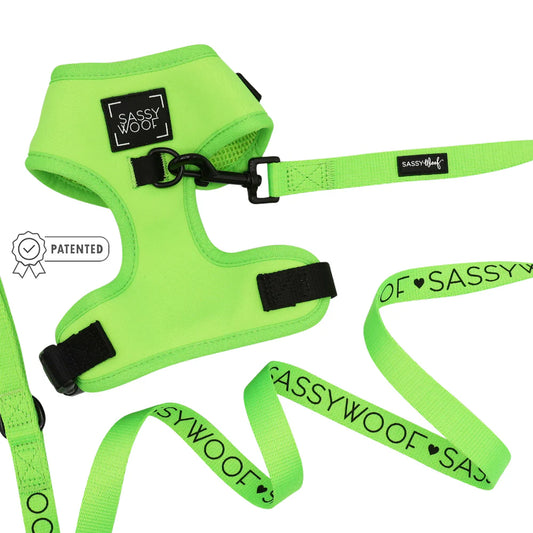 Sassy woof- pechera y correa a juego - NEON GREEN
