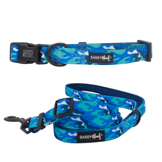 Sassy woof- collar y correa a juego