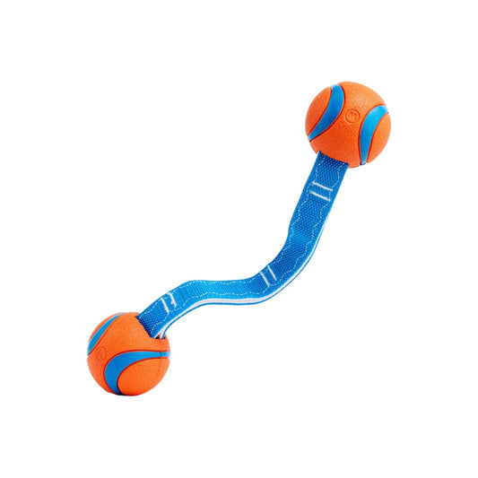 Chuckit! Ultra Duo Tug Tough Dog Toy, Medium