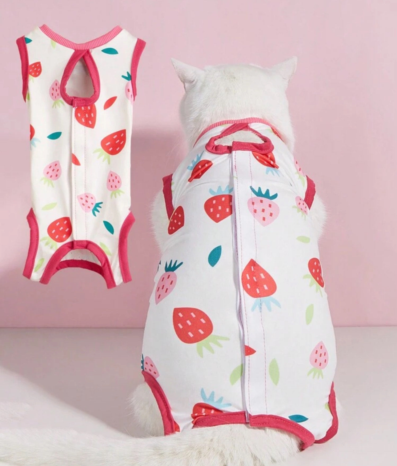 Traje post operatorio para gatos y perros pequeños