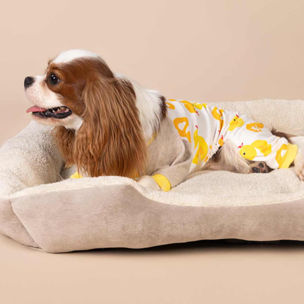 Funny Duck Print Dog Pajamas