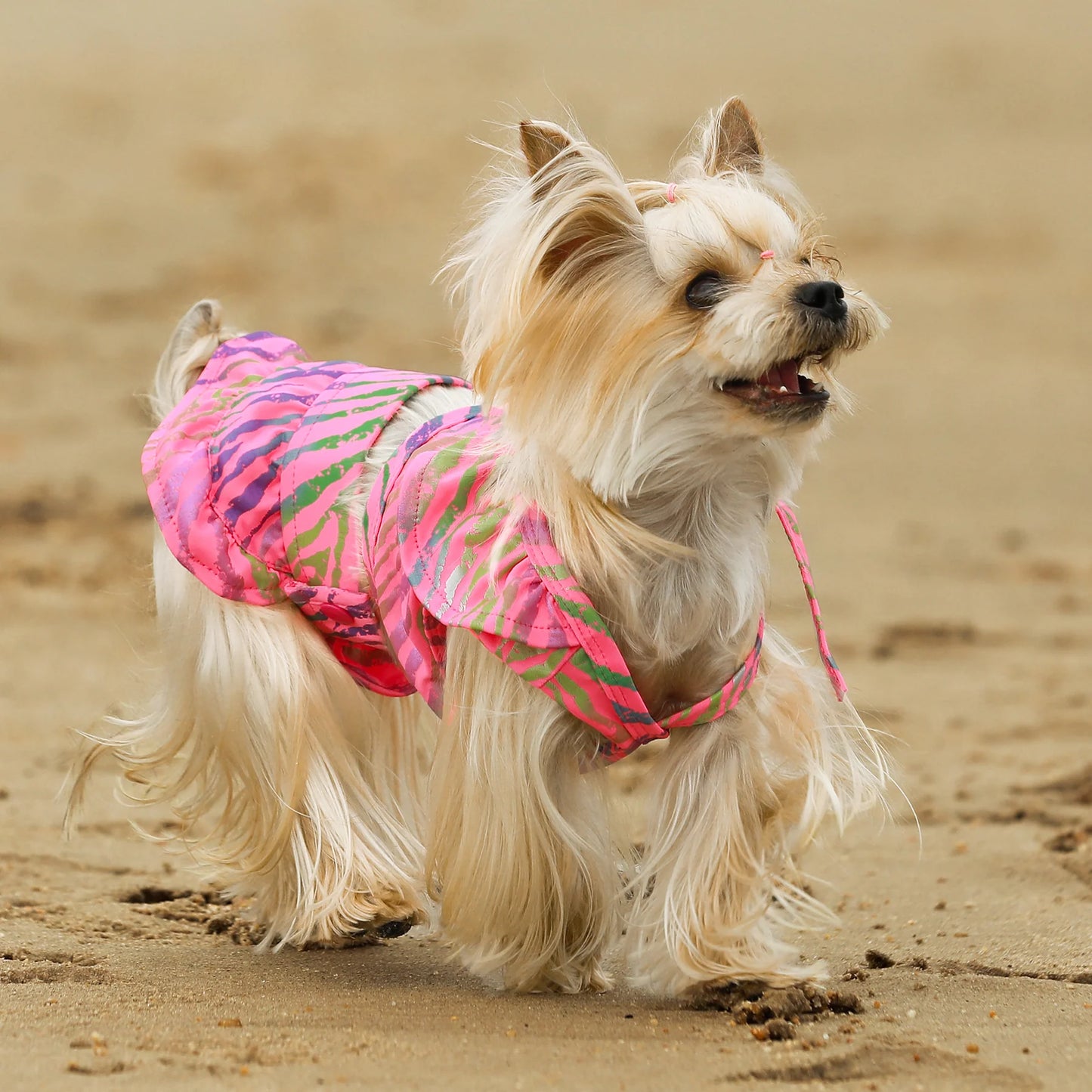 Traje de baño para mascota 1 hombro decorado