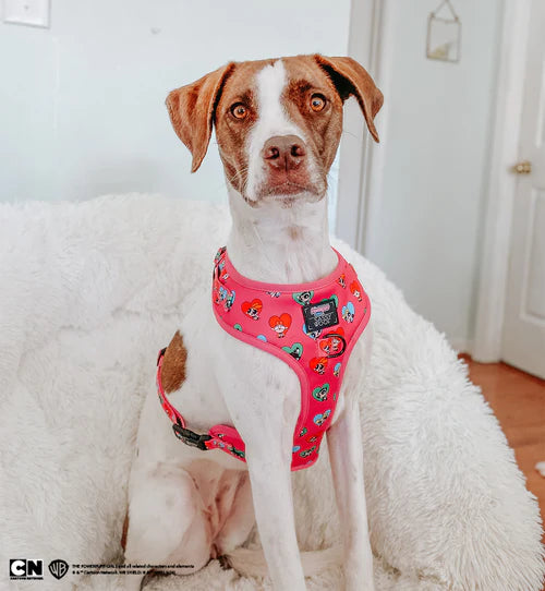 Sassy Woof- Pechera y correa ajustable PowerPuff