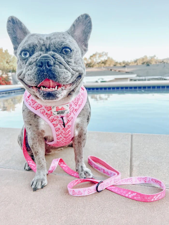 Sassy Woof- Pechera y correa BARBIE™ Malibu