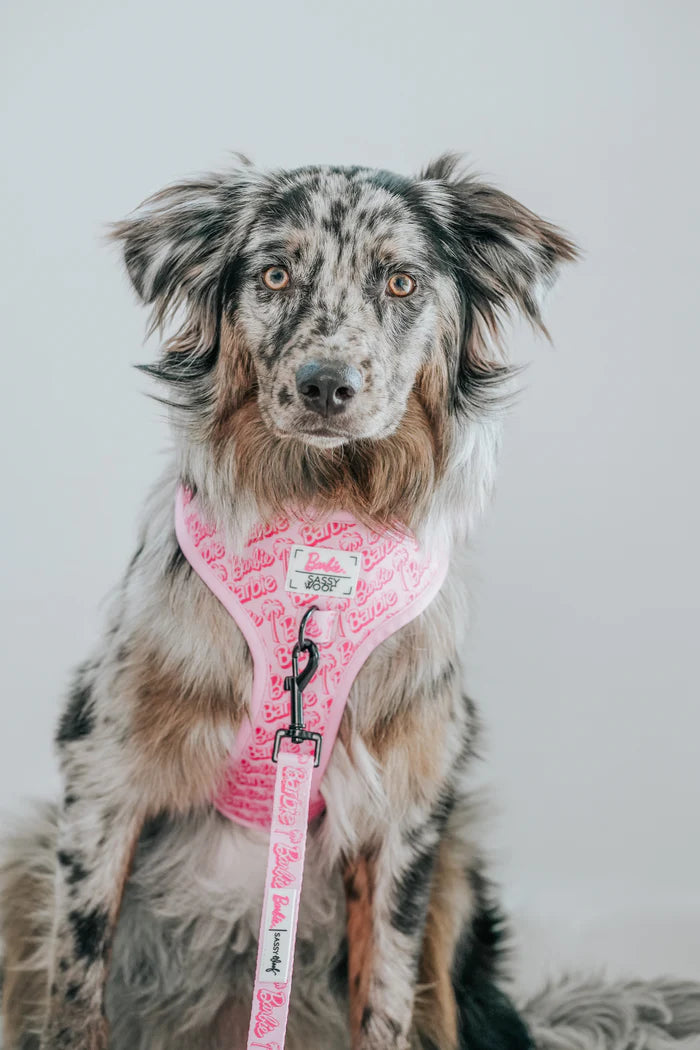 Sassy Woof- Pechera y correa BARBIE™ Malibu