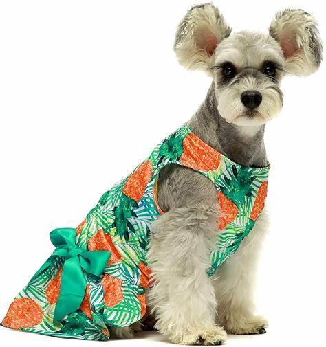 Vestido de verano piña
