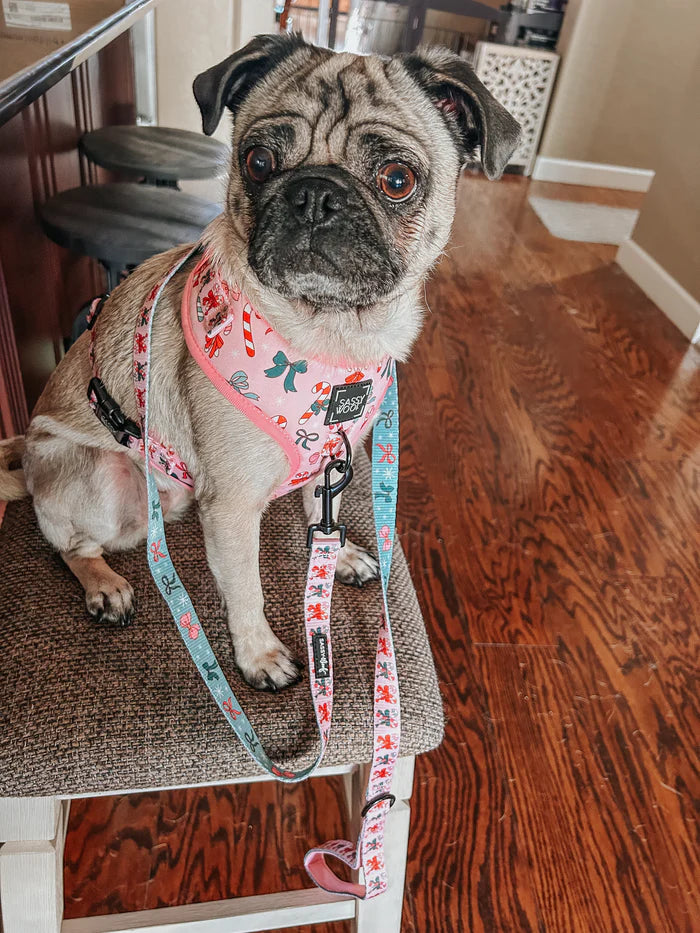 Sassy woof- Holiday collection Pechera y correa a juego candy cane