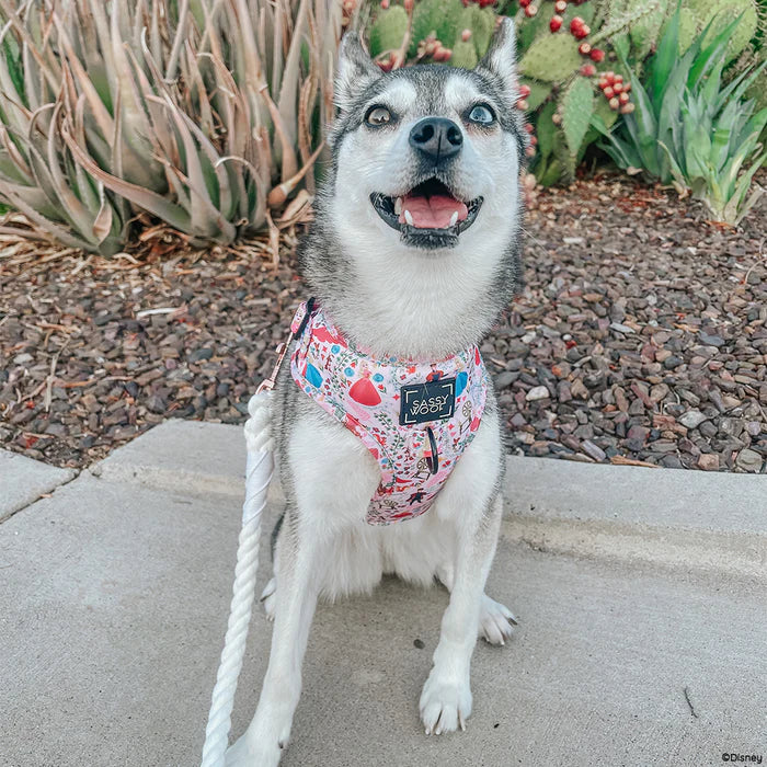 Sassy woof- pechera ajustable