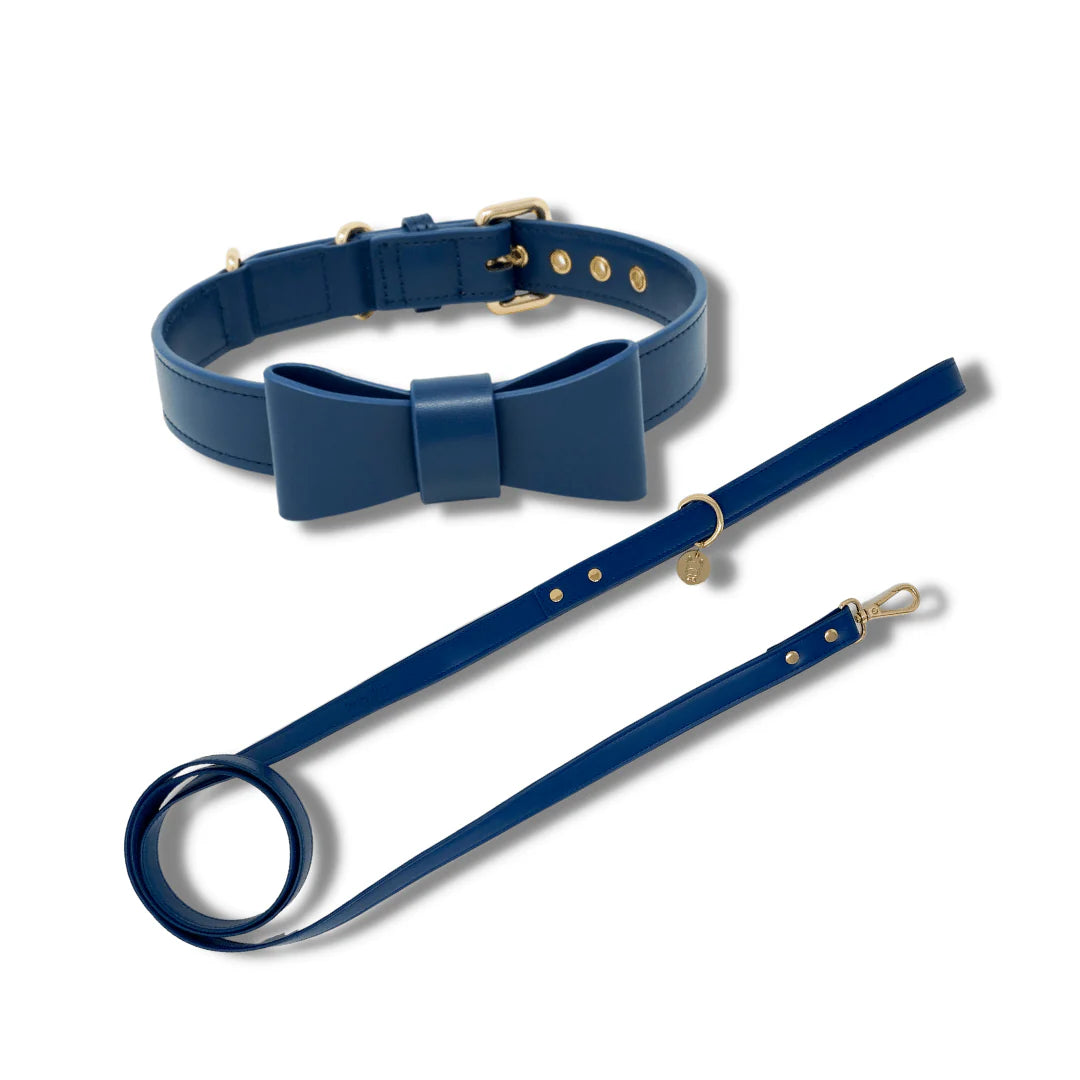 Signature Collar & Leash Set - Navy