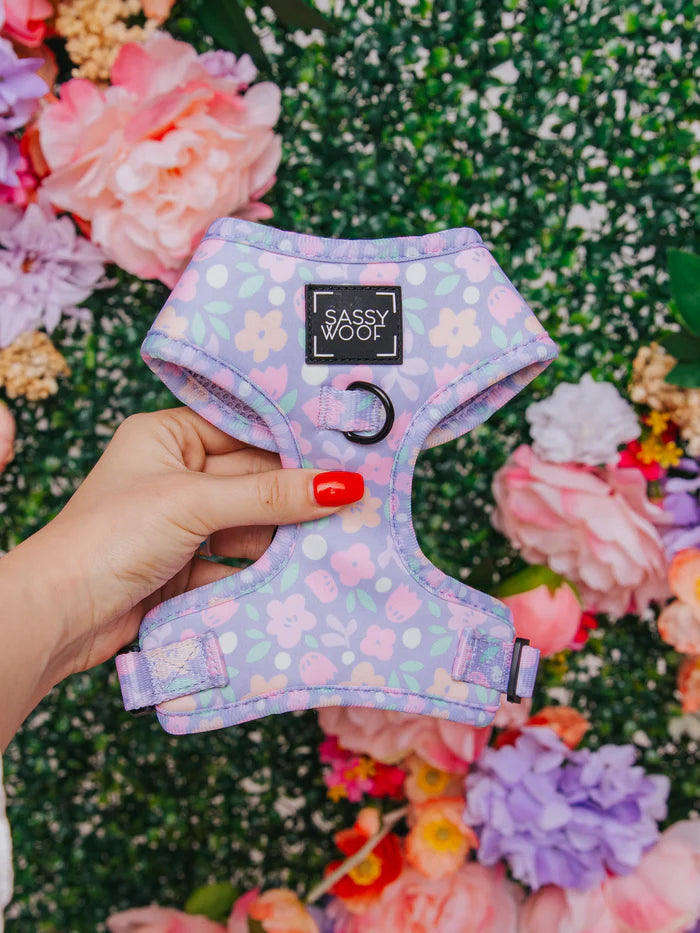 Sassy woof - pechera y correa Fleur de Sass
