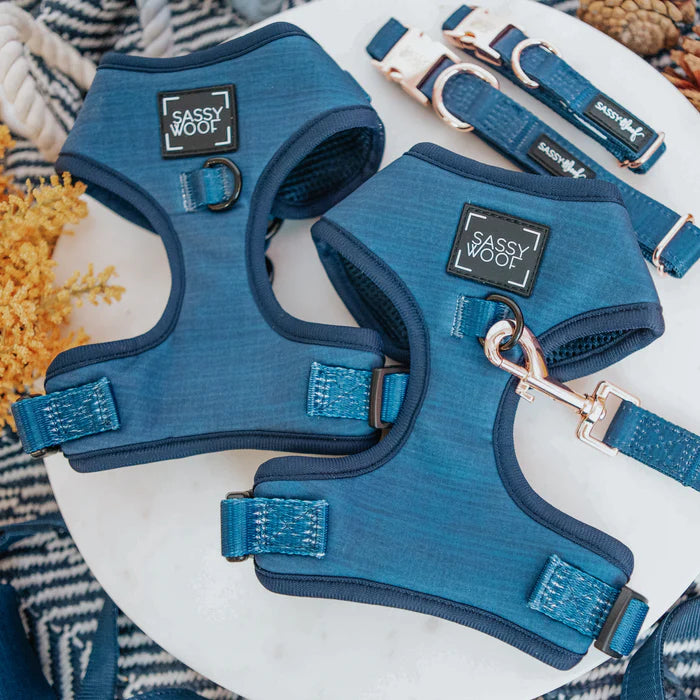 Sassy woof- Dog Adjustable Harness (Pechera y correa) - Twilight