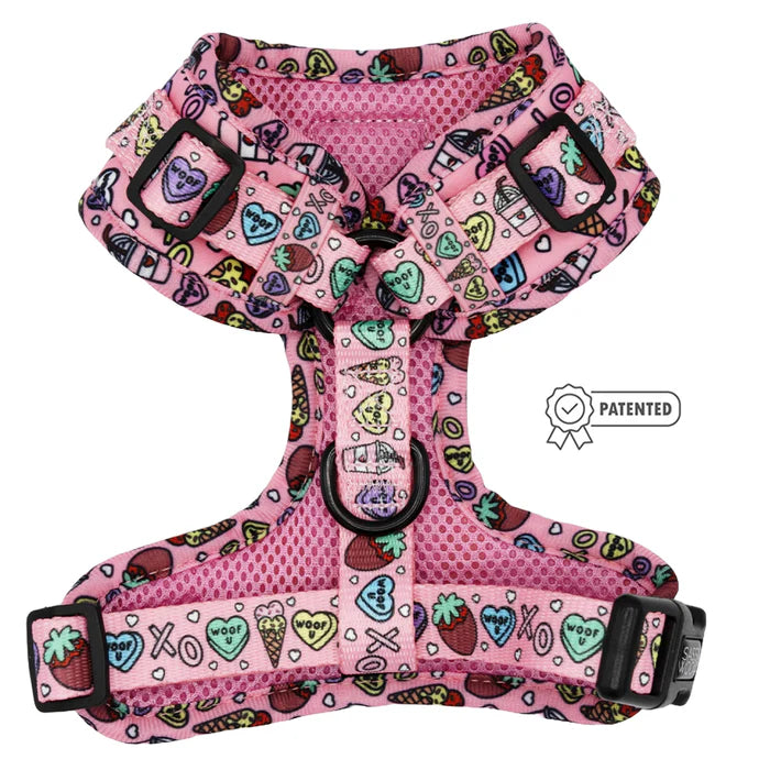 Sassy Woof- Pechera ajustable y correa I Chews You
