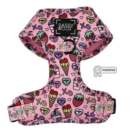 Sassy Woof- Pechera ajustable y correa I Chews You