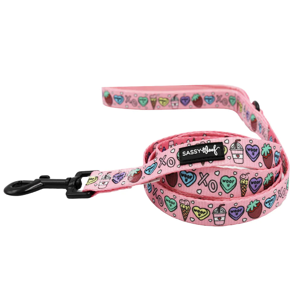 Sassy Woof- Pechera ajustable y correa I Chews You