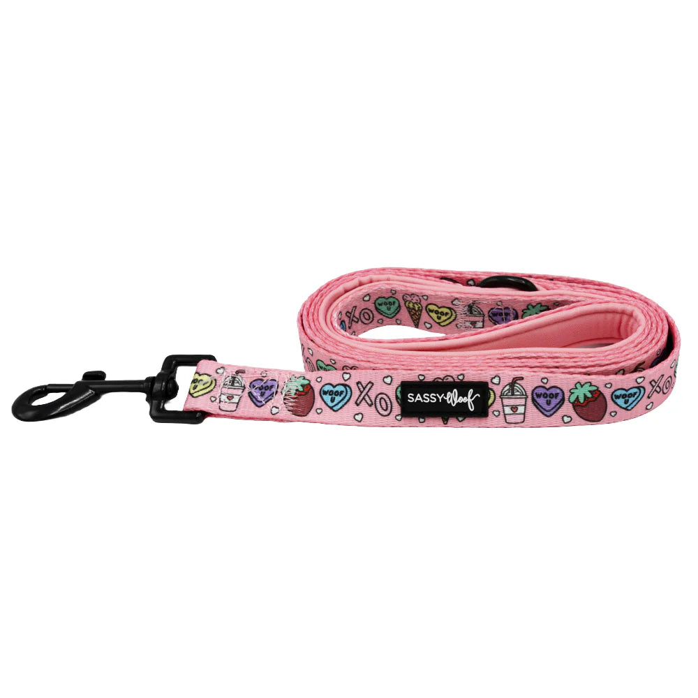 Sassy Woof- Pechera ajustable y correa I Chews You