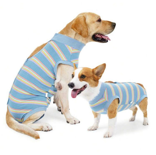 Traje recuperación para perros