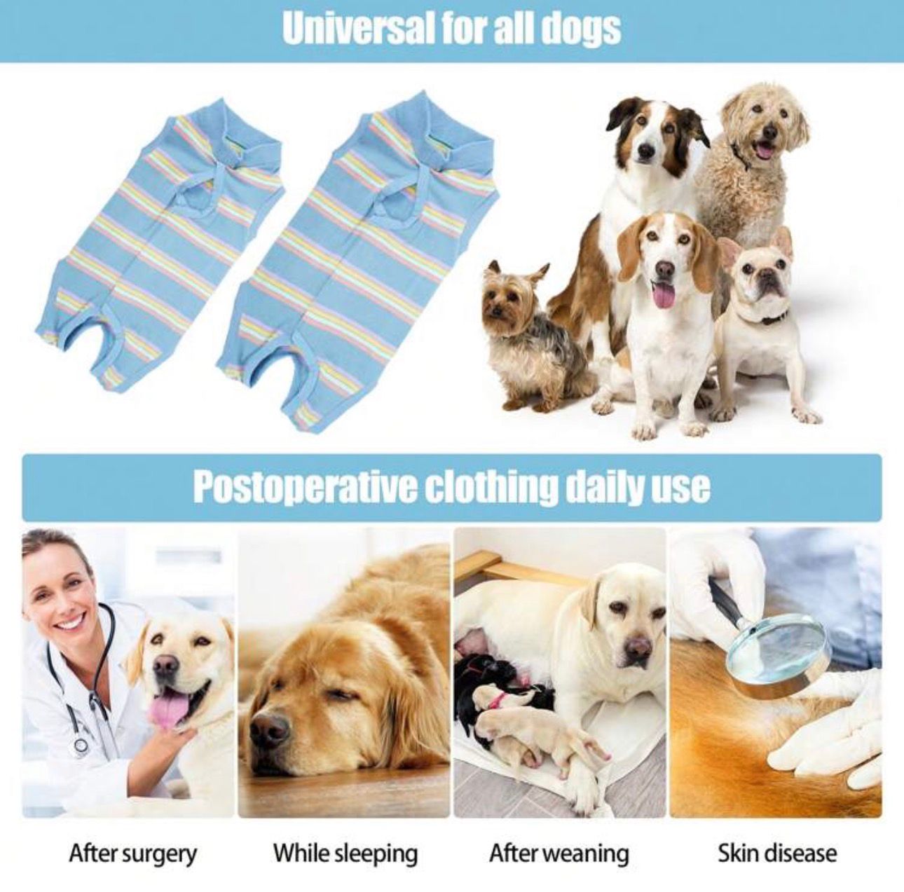 Traje recuperación para perros