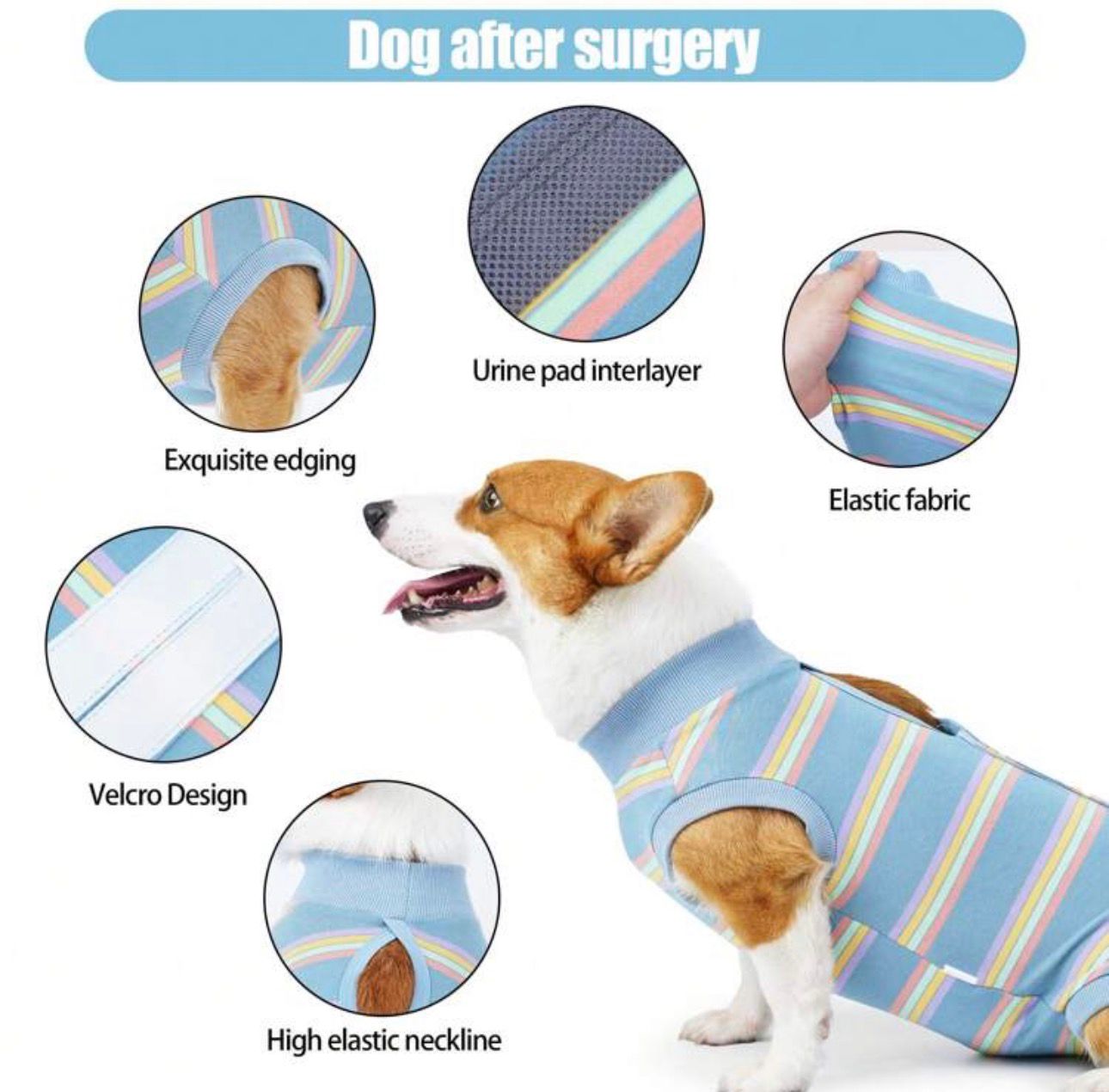 Traje recuperación para perros