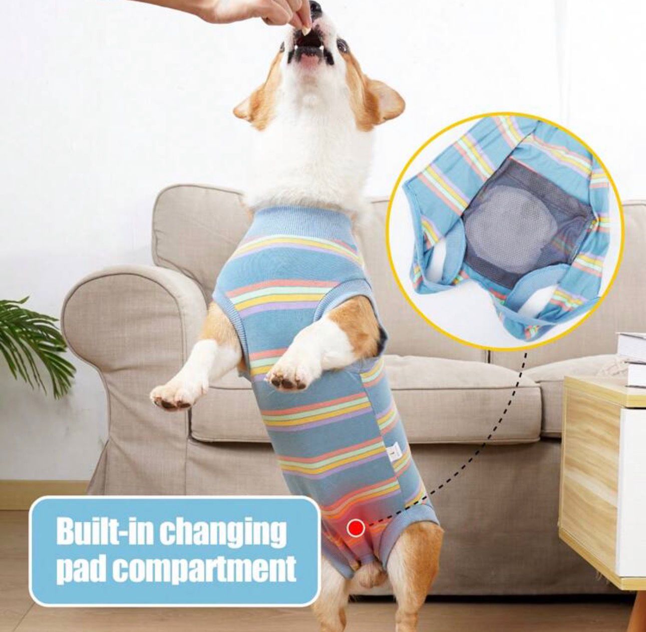 Traje recuperación para perros