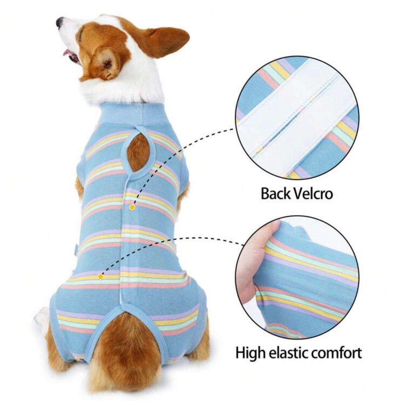 Traje recuperación para perros