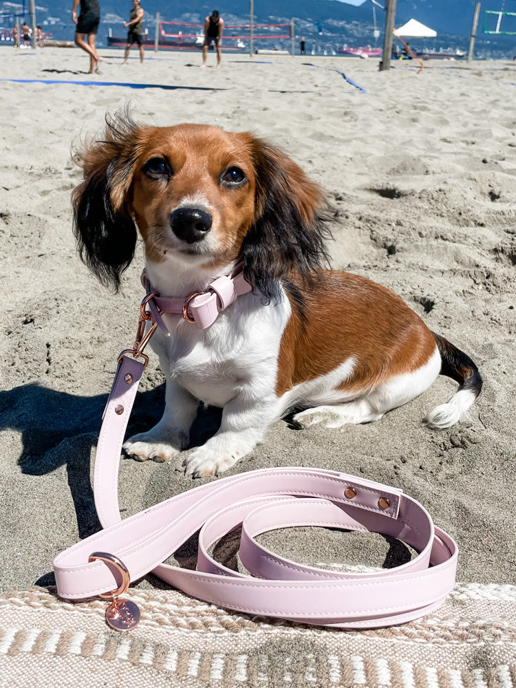 Signature Collar & Leash Set - Blush Pink
