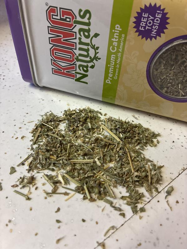 KONG Naturals Premium Catnip, 2-oz tin