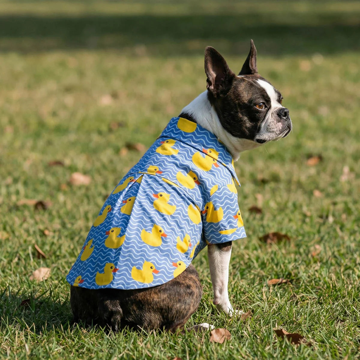 Duck Button Up Dog Shirt